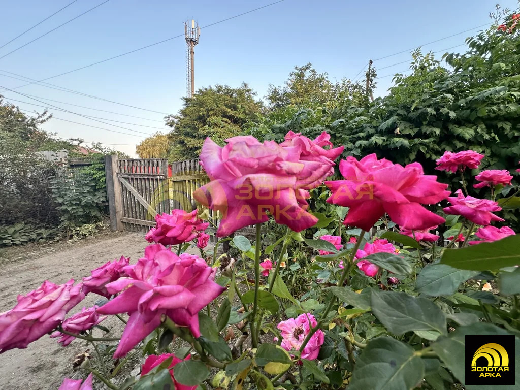 Продажа дома, Старотитаровская, Темрюкский район, Ильича пер. - Фото 29