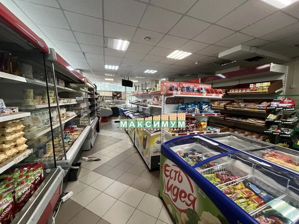 ПСН 360 кв.м. в г. Домодедово, ул. Гагарина, д.58 - Фото 8
