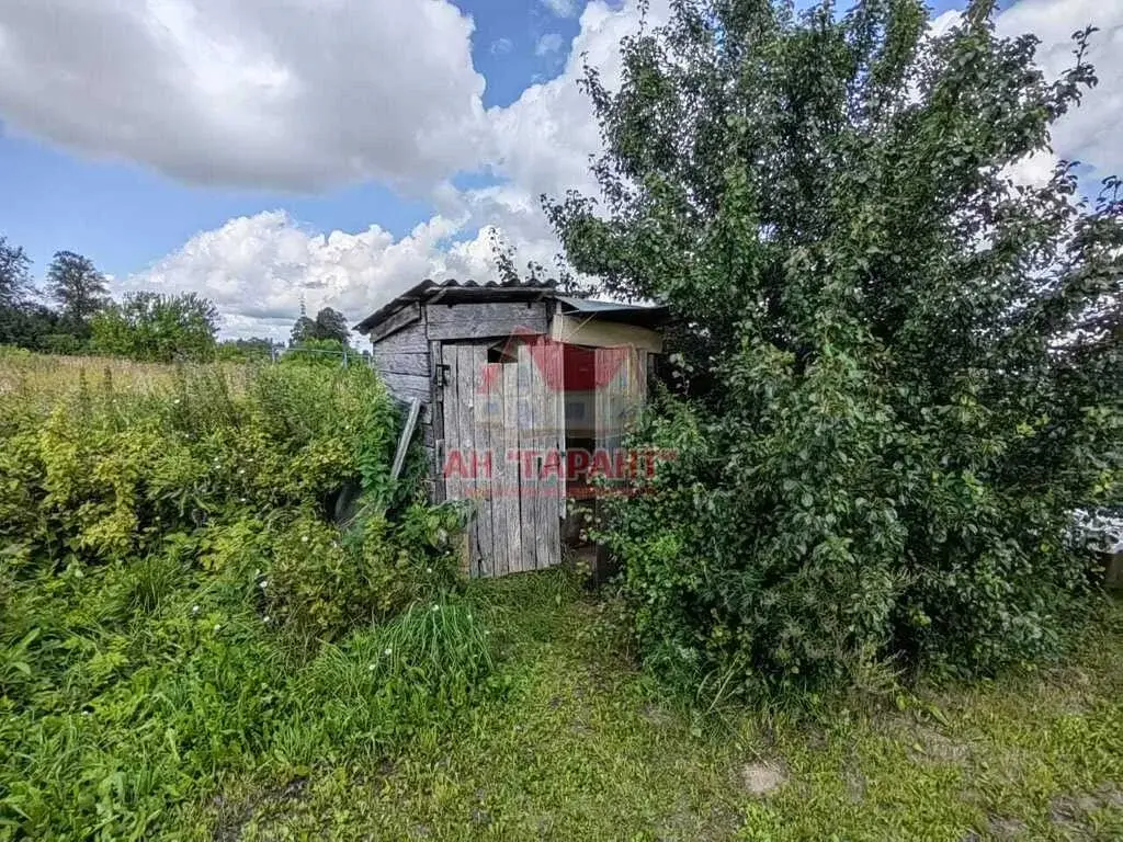 Дом в д.Буньково Александровский р-н Владимирская обл. - Фото 5