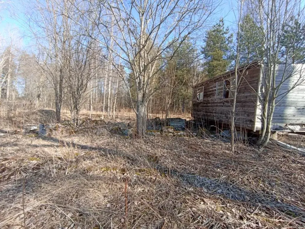 Участок в 100 м от озера Губановское - Фото 16