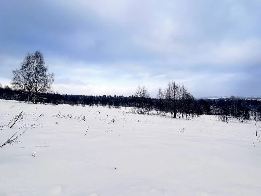 Продажа участка, Горбово, Дмитровский район - Фото 5