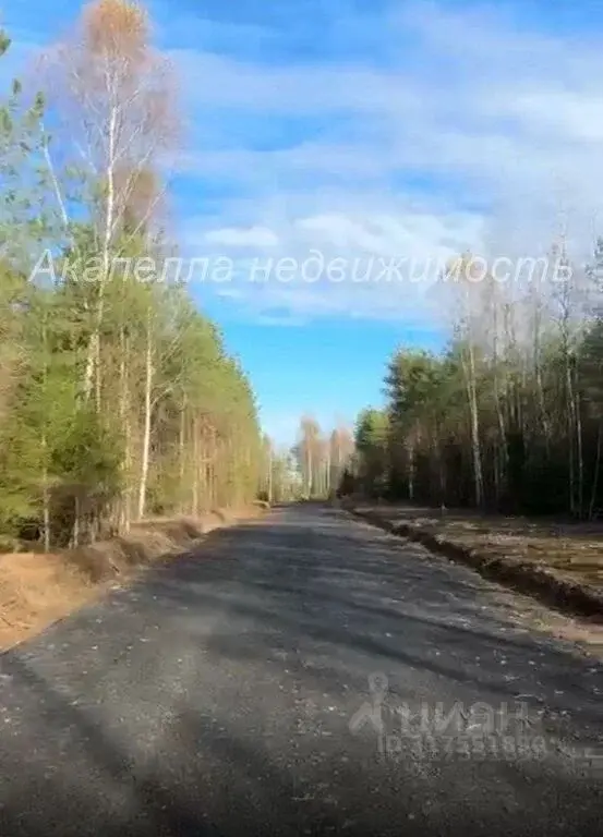 Лесные участки в Истринском районе! - Фото 5