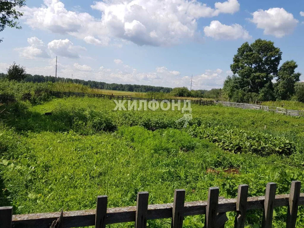 Продажа квартиры, Барлакский, Мошковский район, Молодёжная - Фото 17