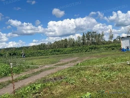 Продажа участка, Симбухово, Мокшанский район, ул. Школьная - Фото 1