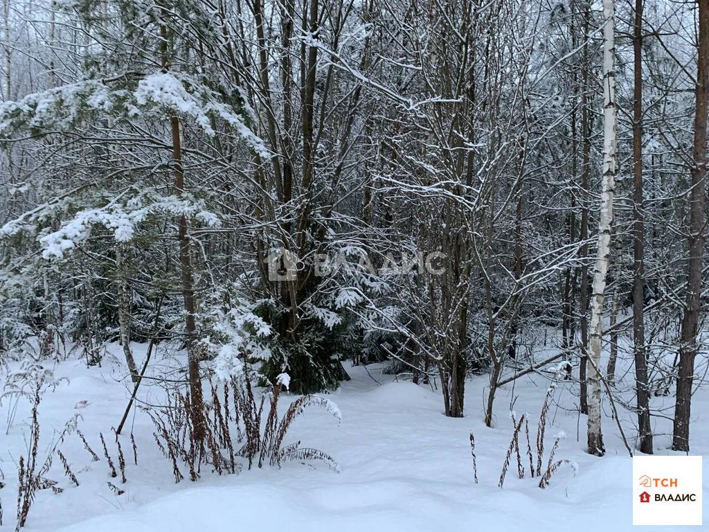 Продажа участка, Щелковский район - Фото 3