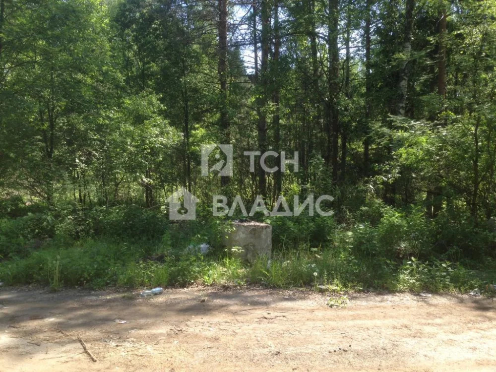 Земельный участок на продажу, Богородский городской округ, . - Фото 0