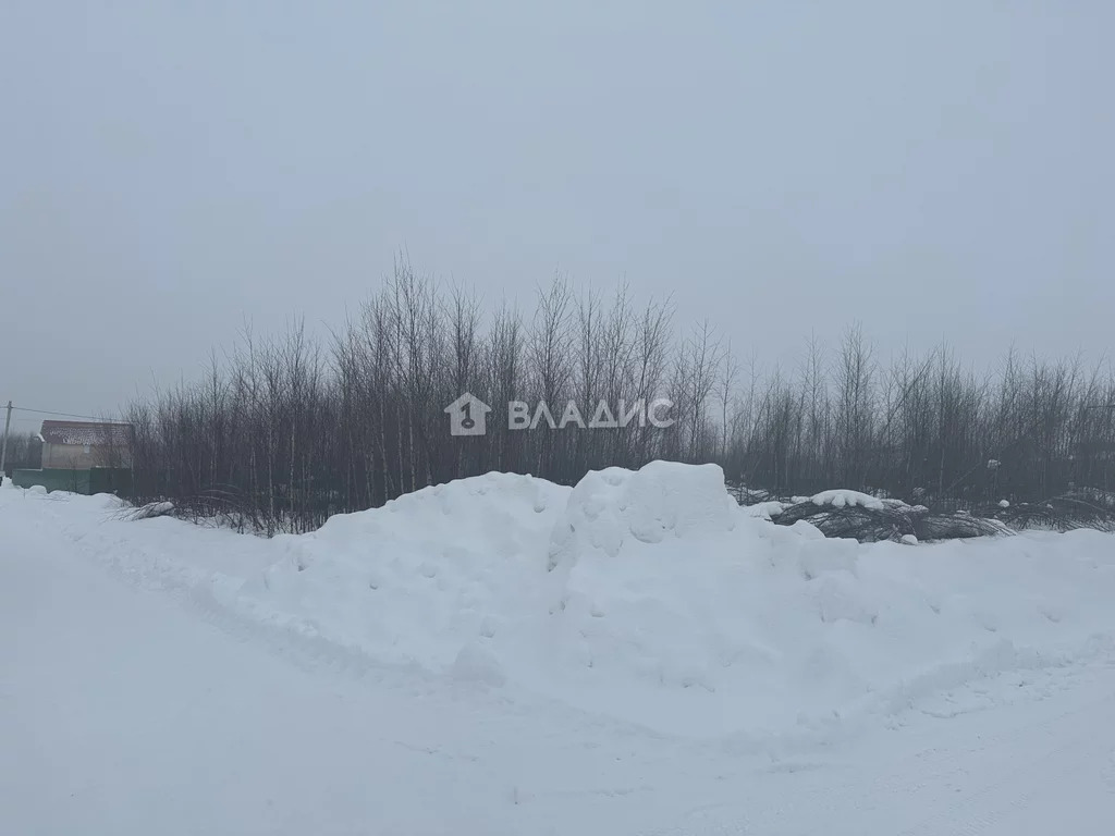 Собинский район, село Бабаево, Счастливая улица, земля на продажу - Фото 4