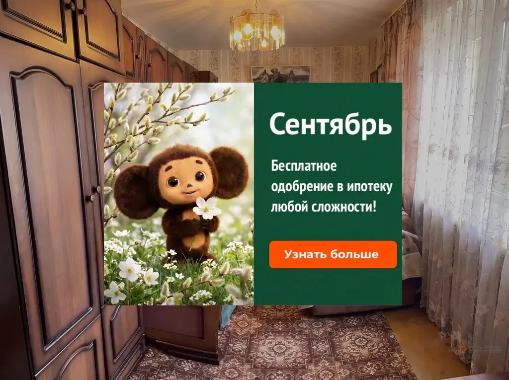 Продается квартира Чепелево деревня, ул. Новая, 4 - Фото 1