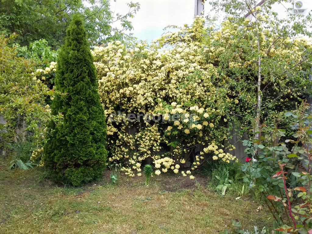 Продажа дома, Севастополь, ул. Мечникова - Фото 24