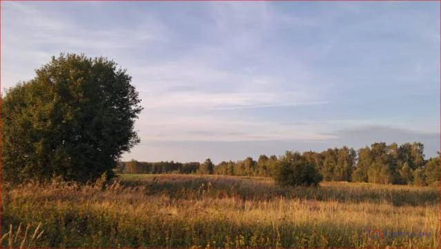 Продажа участка, Якшино, Волоколамский район - Фото 3