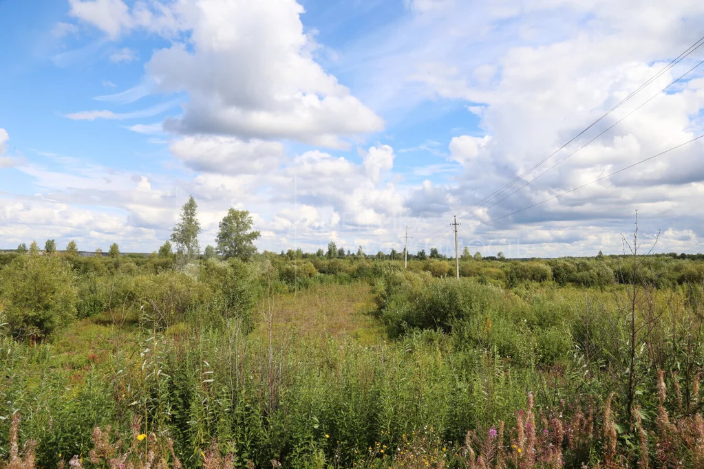 Продажа участка, Богандинское, Тюменский район, Тюменский р-н - Фото 5