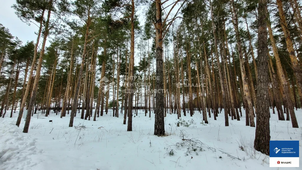 Продажа участка, Рязанский район - Фото 5