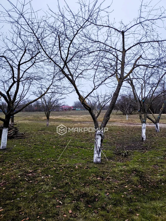 Продажа дома, Болгов, Усть-Лабинский район, ул. Мира - Фото 36