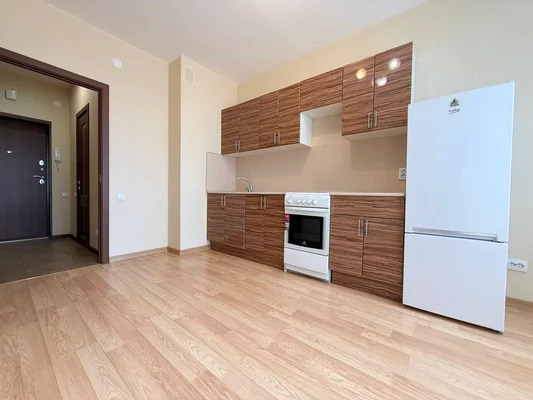 Продам однокомнатную (1-комн.) квартиру, Русская ул, 5, Анкудиновка д - Фото 1