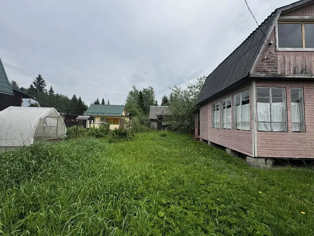 Дача 50 м2 на участке 6 сот. - Фото 3