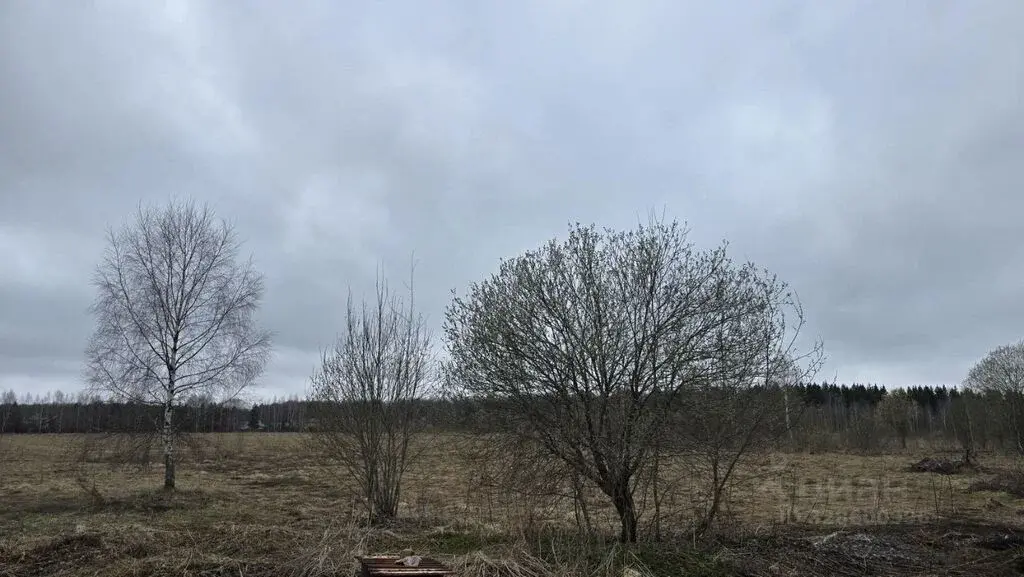 Продажа участка 19.72 га Московская область, Истра муниципальный ... - Фото 3