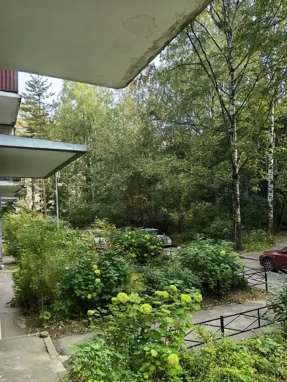 аренда 1к. квартиры/ м. академическая/ у метро / все есть / 22.990руб. - Фото 41