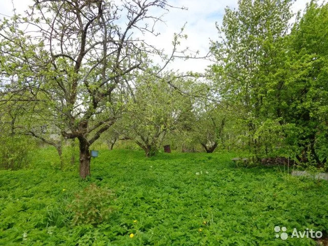 Купить Участок В Ижоре Ломоносовского Района