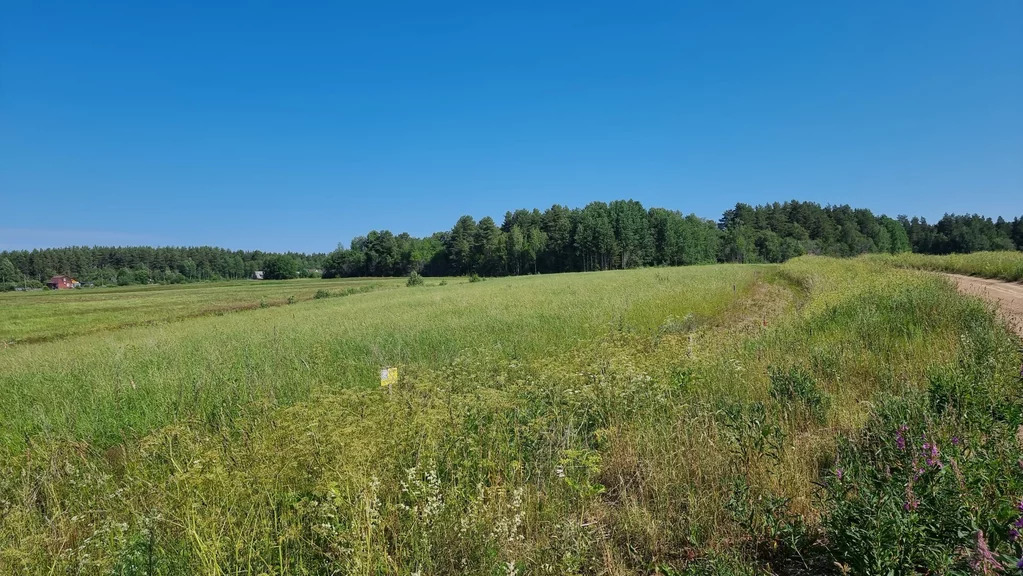 Продажа участка, Солнечное, Приозерский район - Фото 1