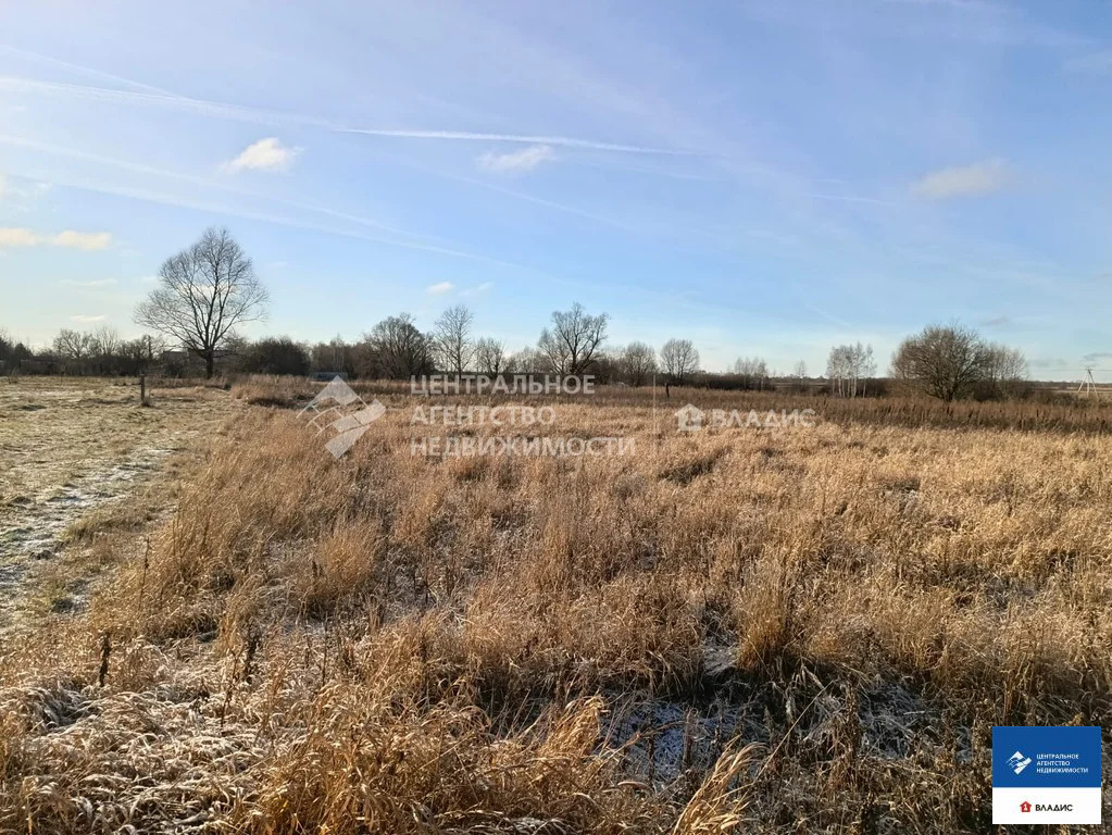 Продажа участка, Житово, Рыбновский район - Фото 4