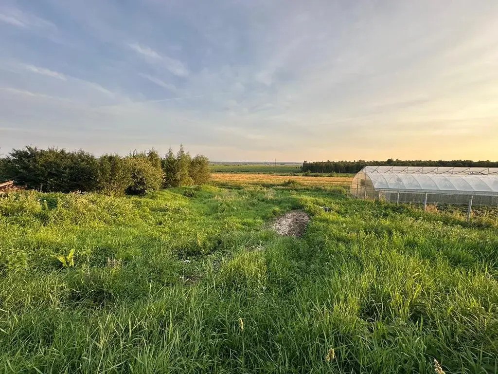 Участок 15 сот. (ИЖС) - Фото 1