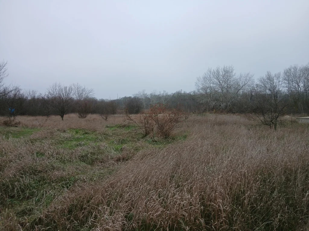 Продажа участка, Абинск, Абинский район, улица Сургутская - Фото 2