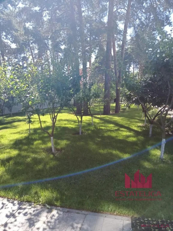 Продажа участка, Электрогорск, ул. Ленина - Фото 1