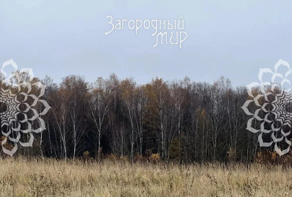 Продам участок, Калужское шоссе, 57 км от МКАД - Фото 6