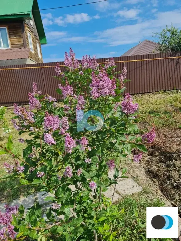 Продажа дома, Федоровка, Рассветная улица - Фото 23