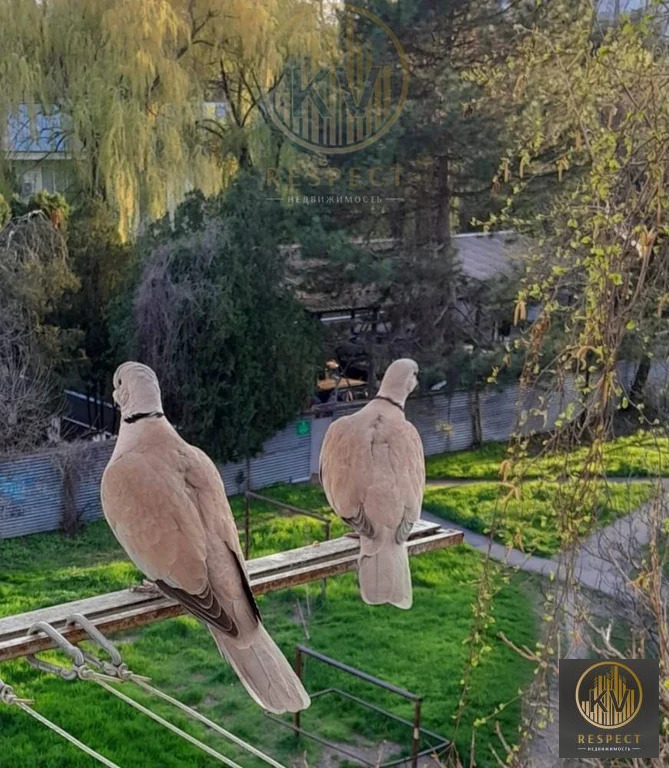 Продажа квартиры, Пятигорск, ул. Транзитная - Фото 18