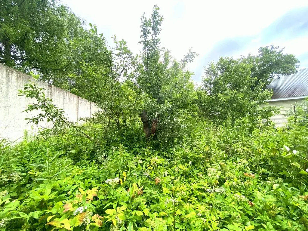 Дача в СНТ Меланжист-4 - Фото 9