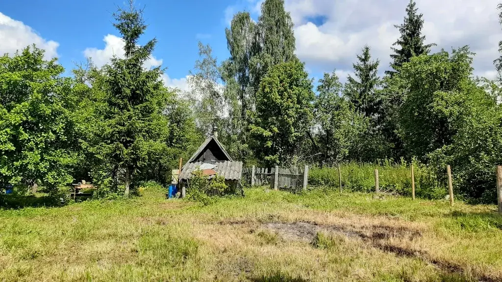 Купить Дом В Дедовичском Районе Псковской Области