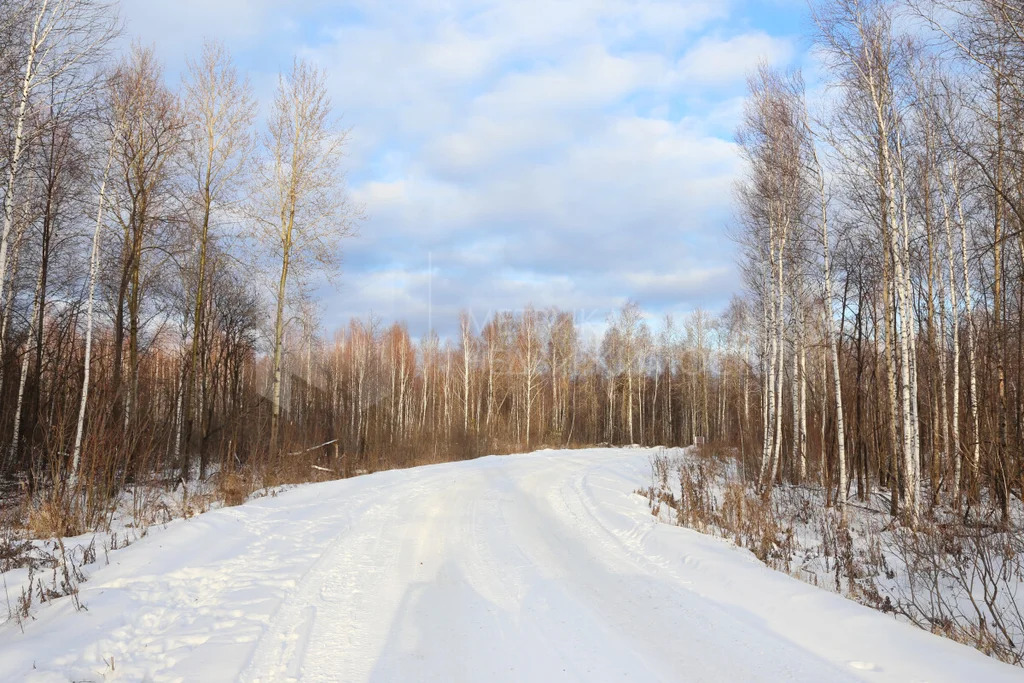 Продажа участка, Штакульская, Нижнетавдинский район, Нижнетавдинский ... - Фото 10