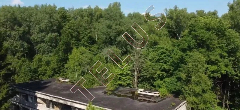 ТАО, деревня Кресты, 6000 м2, Комплекс зданий и участок 17 Га (ном. ... - Фото 10