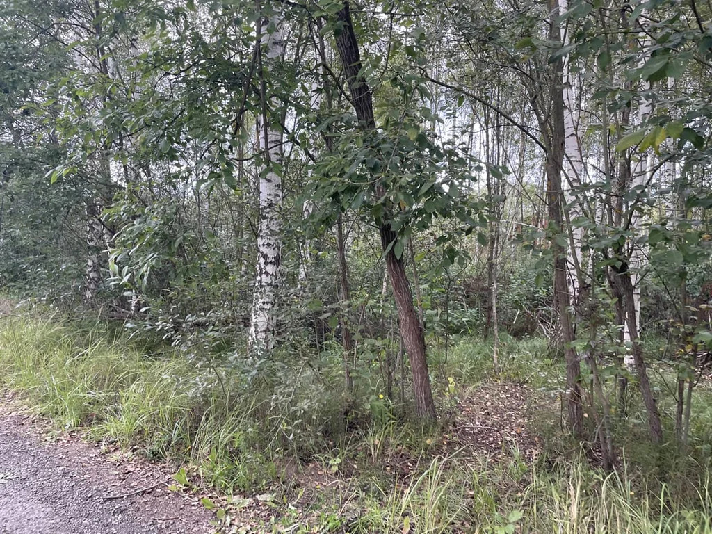 Продажа участка, Дмитровский район - Фото 6