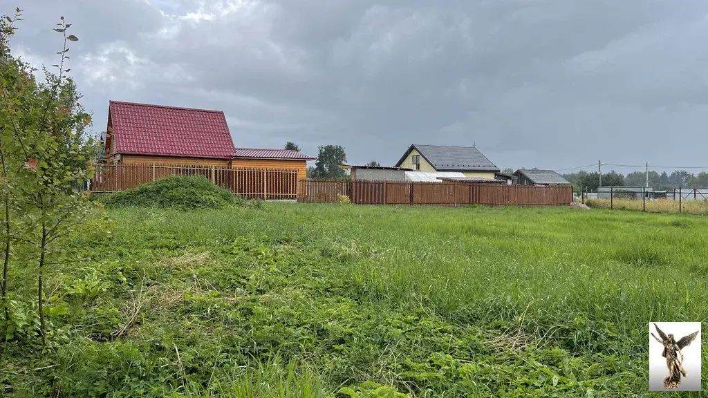 Земельный участок в ДНТ Поляна-2 (массив Белоостров) - Фото 2