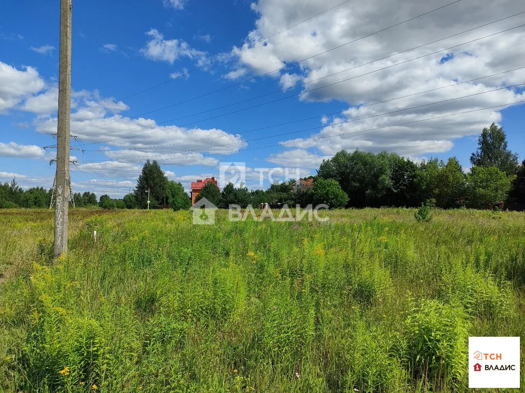 Богородский городской округ, Ногинск, Ново-Богородская улица,  земля ... - Фото 2