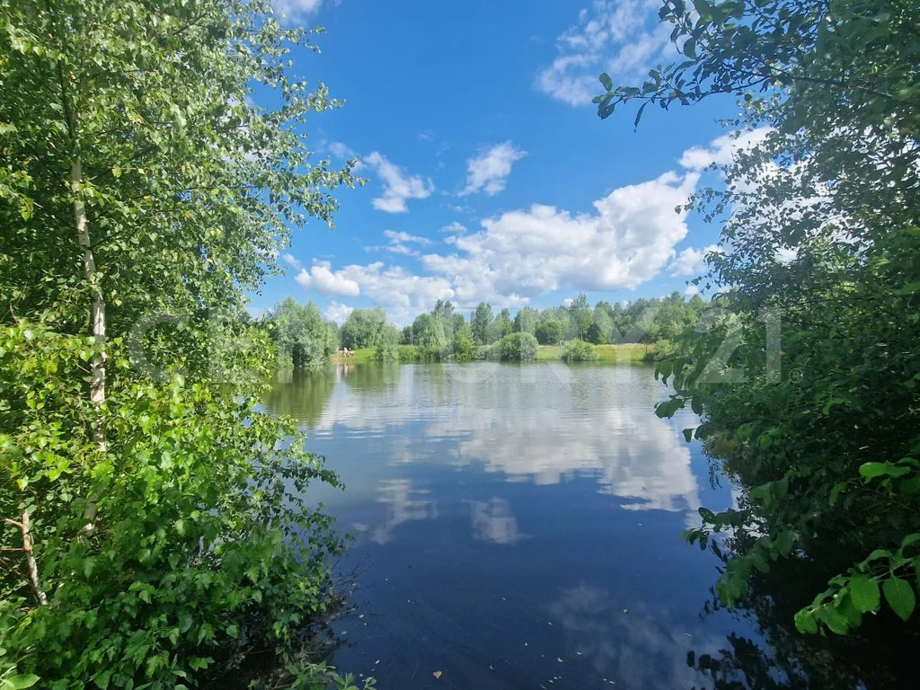 продажа участка, костино, малоярославецкий район, лесная ул. - Фото 12