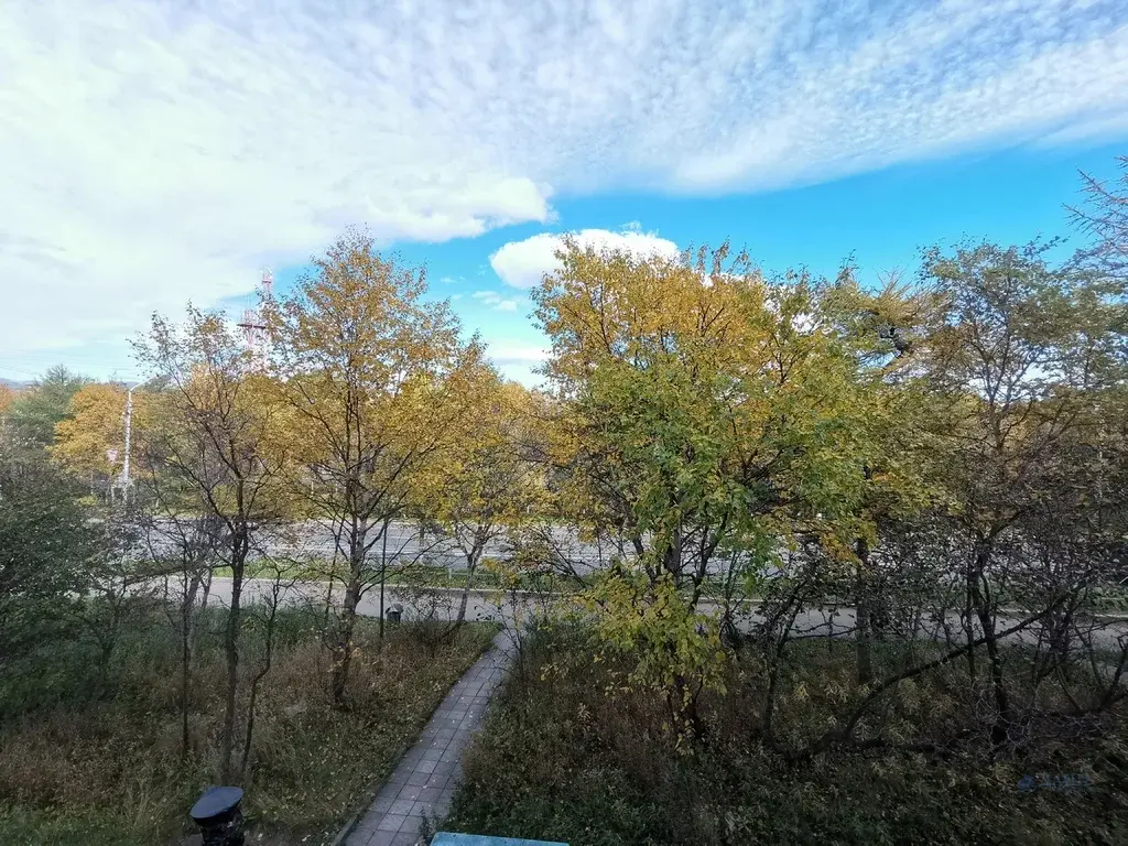 3-к. квартира, 52,2 м, 2/5 эт. - Фото 11