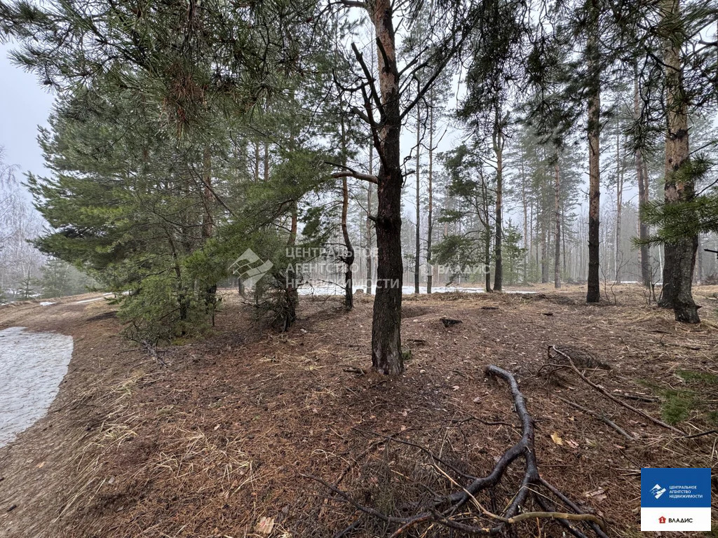 Продажа участка, Рязанский район, садоводческое товарищество ... - Фото 7