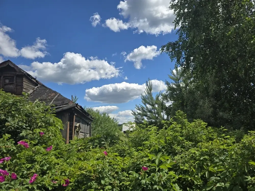 Продаю дом в с. Никольское - Фото 11
