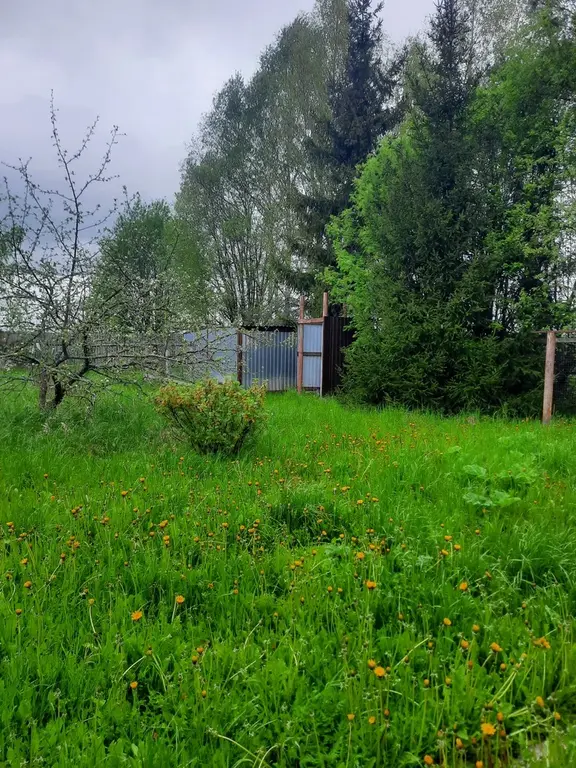 Продается дом - Фото 4