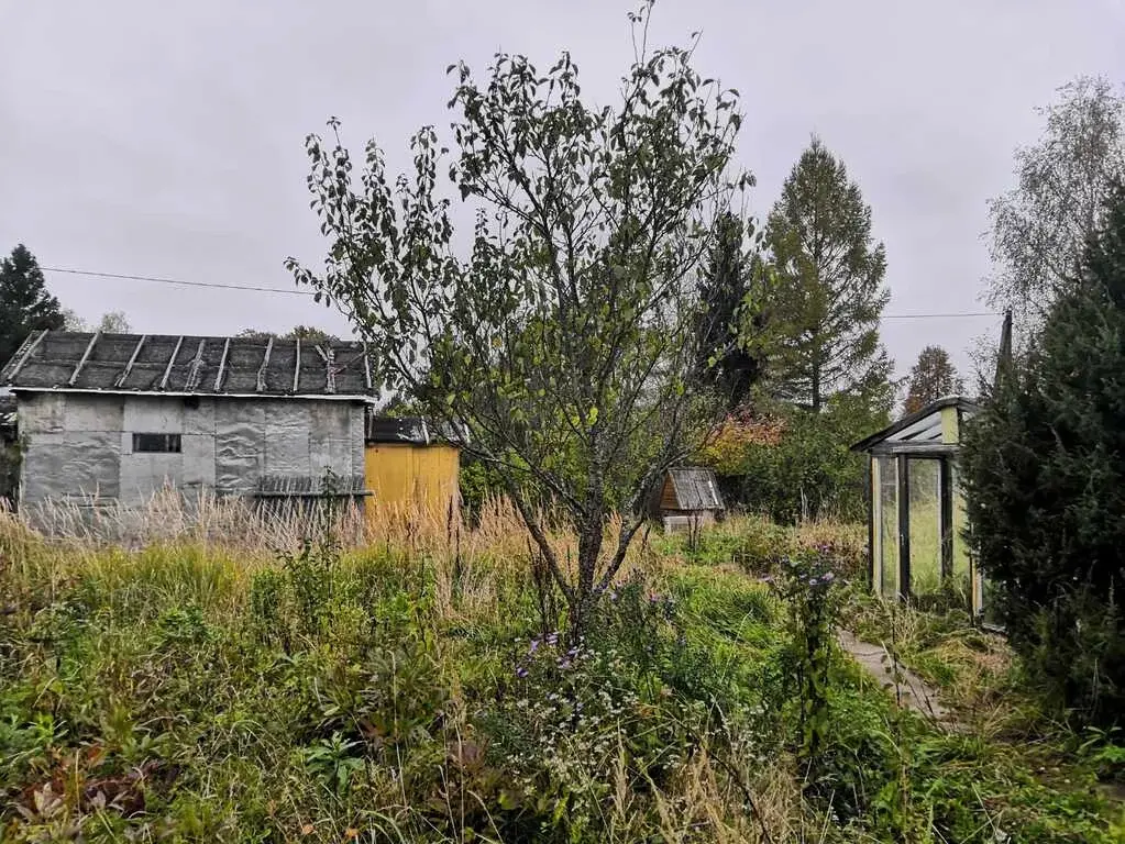 Продаётся жилой дом в д.Холмец, Можайский район - Фото 18