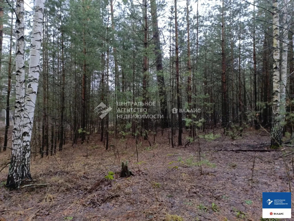 Продажа участка, Рязанский район, садоводческое товарищество Лесной - Фото 2