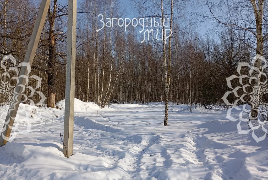 Продам участок, Горьковское шоссе, 40 км от МКАД - Фото 2