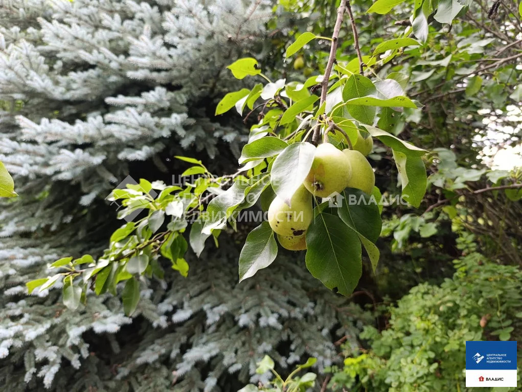 Продажа дома, Старожилово, Старожиловский район, ул. Почтовая - Фото 14