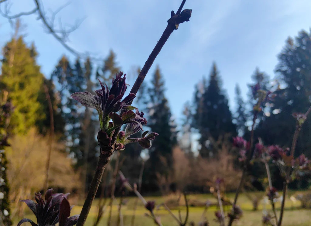 Продажа участка, Апрелевка, Наро-Фоминский район, ул. Кутузова - Фото 21