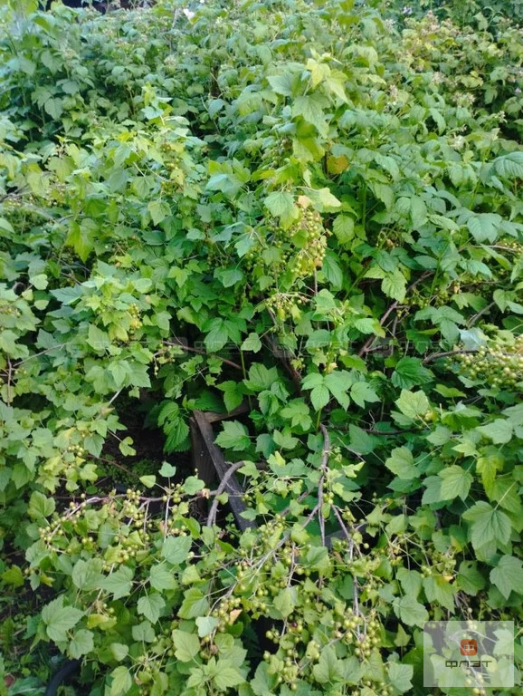 Продажа дома, Казань, ул. Школьная - Фото 19