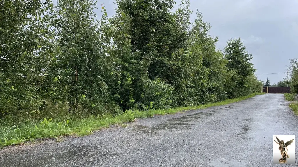 Земельный участок в ДНТ Поляна-2 (массив Белоостров) - Фото 7