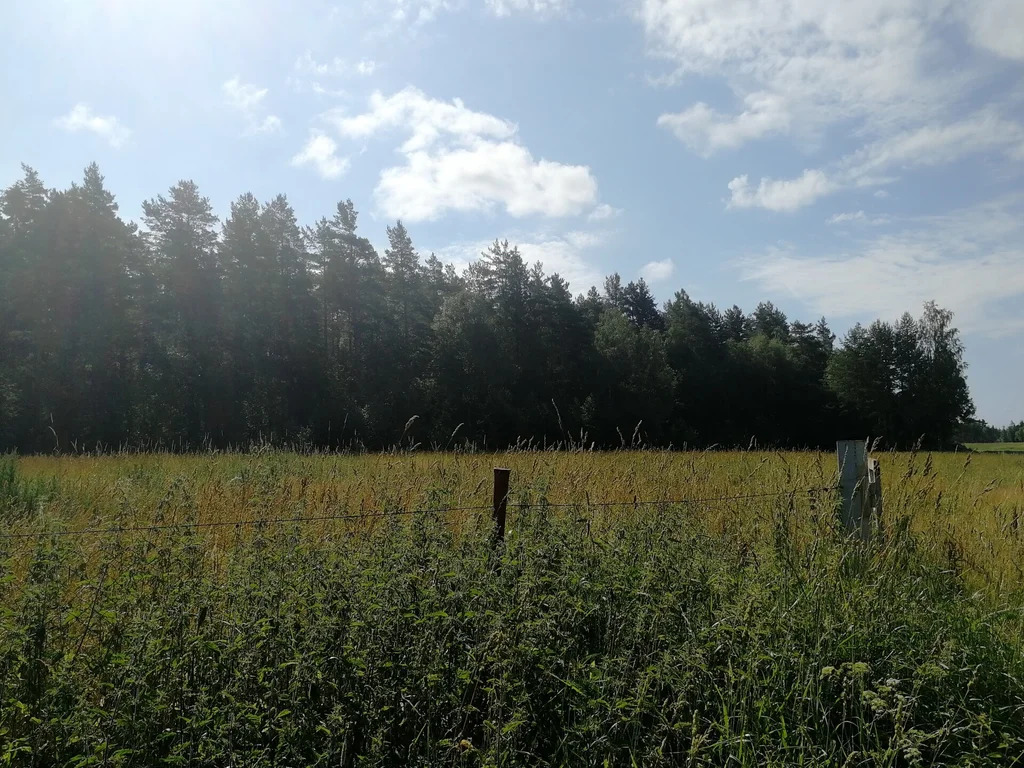 Продажа участка, Солнечное, Приозерский район - Фото 10